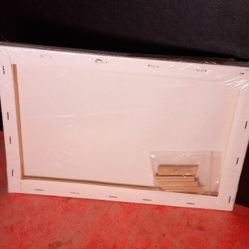 LIENZO DE PINTURA NUEVO (GRATIS).