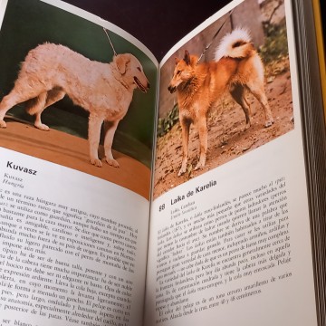TODOS LOS PERROS DEL MUNDO, AKE WINTZELL
