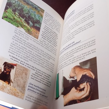 ANIMALES DE COMPAÑÍA SIN RIESGOS, JUAN REJAS LÓPEZ.