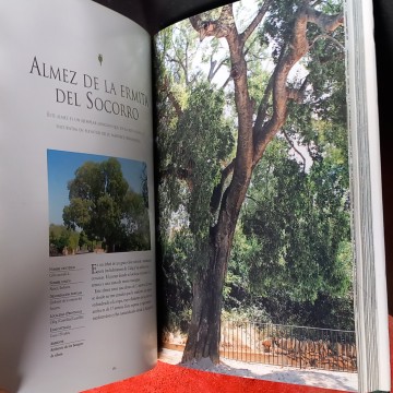 ÁRBOLES MONUMENTALES DE ESPAÑA: ECOSISTEMAS Y AMBIENTES.