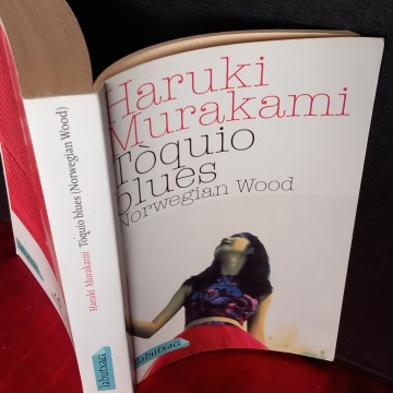 TÒQUIO BLUES, HARUKI MURAKAMI (EN CATALÀ)