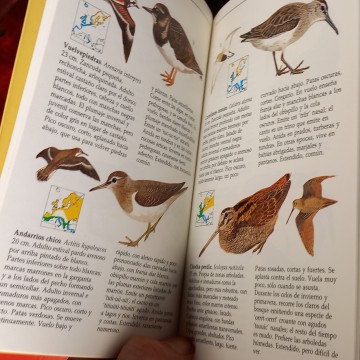 GUIA CELESTE DE LAS AVES, JIM FLEGG.