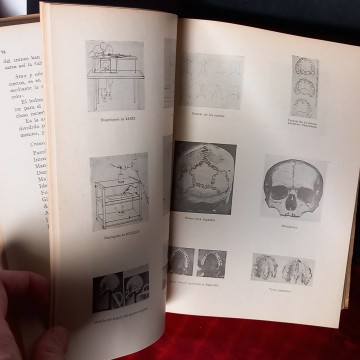 MANUAL DE ANTROPOLOGÍA, JOSÉ PEREZ DE BARRADAS.