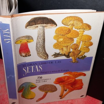 EL GRAN LIBRO DE LAS SETAS, GEORGES BECKER.