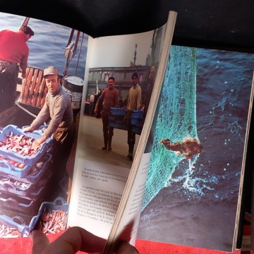 LA PESCA A CATALUNYA, CARLES BAS, RAIMON CAMPRUBÍ.