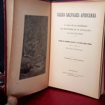 CAZAS SALVAJES AFRICANAS, M. PONS FÁBREGUES.