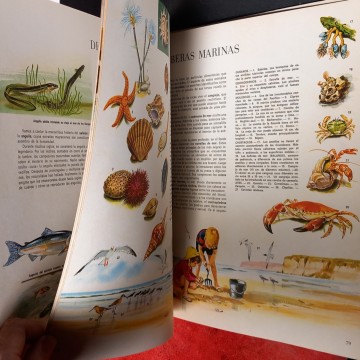 EL MUNDO DE LA NATURALEZA, MARY REFOY.