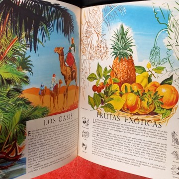 EL MUNDO DE LAS PLANTAS, ENCICLOPEDIA EN COLOR.