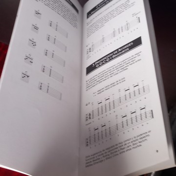 INICIACIÓN A LA GUITARRA ROCK RÍTMICA, TROY STETINA