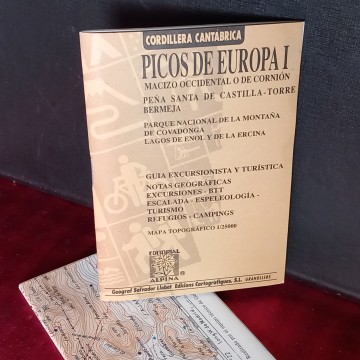 PICOS DE EUROPA I GUÍA ALPINA