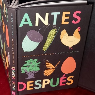 ANTES DESPUÉS, ANNE-MARGOT RAMSTEIN & MATTHIAS AREGUI.