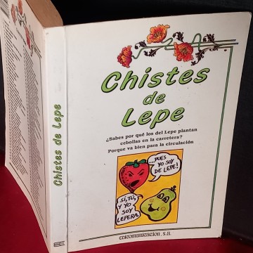 CHISTES DE LEPE