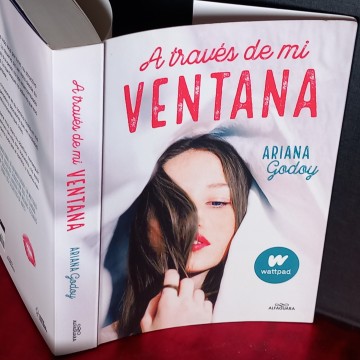 A TRAVÉS DE MI VENTANA, ARIANA GODOY.