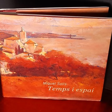 TEMPS I ESPAI, MIQUEL SOLÍS.