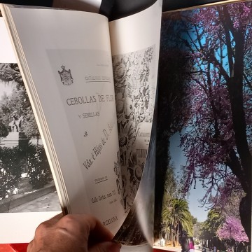 EL PARQUE DE MARÍA LUISA DE SEVILLA, MANUEL GARCÍA-MARTÍN.