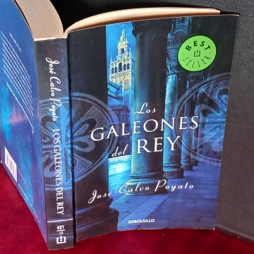LOS GALEONES DEL REY, JOSÉ CALVO POYATO.