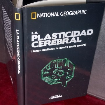 LA PLASTICIDAD CEREBRAL, JAVIER DE FELIPE.