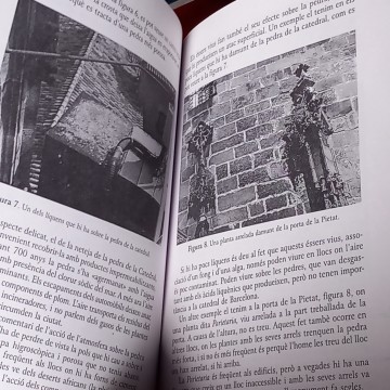 LA PEDRA DE MONTJUÏC DE LA CATEDRAL DE BARCELONA, RAMON FARRANDO BOIX