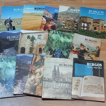 LOTE 14 LIBROS DE BURGOS.