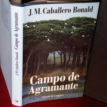 CAMPO DE AGRAMANTE, JOSÉ MANUEL CABALLERO BONALD.
