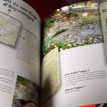 SANT JOAN LES FONTS, HELENA DORCA I ARAU.