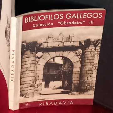 RIBADAVIA, MANUEL CHAMOSO LAMAS.