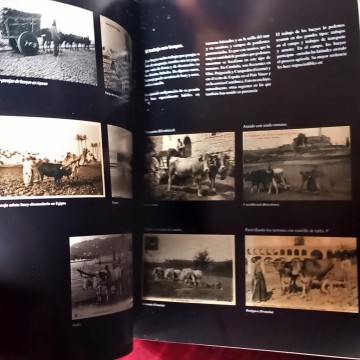 PAPERANTIC 11 CUADERNO DE COLECCIONISMO