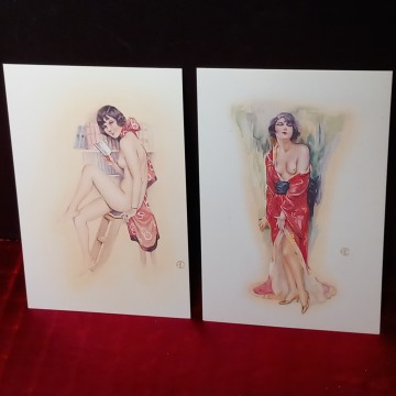 LOTE 2100 POSTALES ESTÉTICA VINTAGE