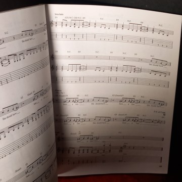 NIRVANA INCESTICIDE PARTITURA PARA GUITARRA.