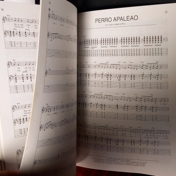 JARABE DE PALO DEPENDE, PARTITURA PARA GUITARRA.