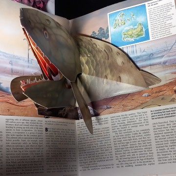 EVOLUTION POP-UP, RAYMOND HAWKEY