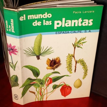 EL MUNDO DE LAS PLANTAS, PAOLA LANZARA