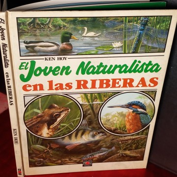 EL JOVEN NATURALISTA EN LAS RIBERAS, KEN HOY.