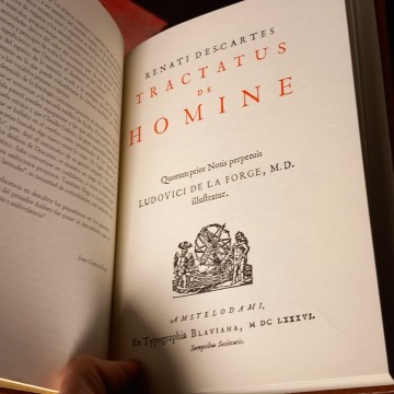 TRACTATUS DE HOMINE, RENATI DESCARTES.