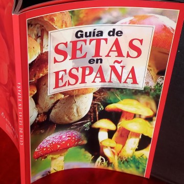GUÍA DE SETAS EN ESPAÑA