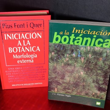 LOTE 2 LIBROS DE INICIACIÓN A LA BOTÁNICA, PIUS FONT I QUER Y J.L. FUENTES YAGÜE.