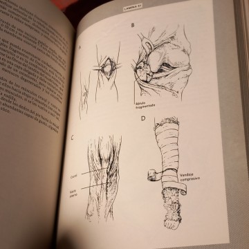 CIRUGÍA ORTOPÉDICA, MANUAL DE CIRUGÍA OPERATORIA, EDWARD L. COMPERE.