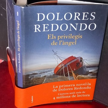 ELS PRIVILEGIS DE L'ÀNGEL, DOLORES REDONDO.