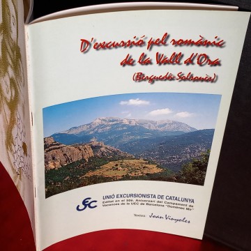 (BERGUEDÀ SOLSONÈS), JOAN VINYOLES.