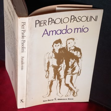AMADO MÍO, PIER PAOLO PASOLINI.