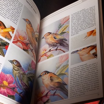 ASÍ SE PINTA CON LÁPICES DE COLORES, JOSÉ M. PARRAMÓN.