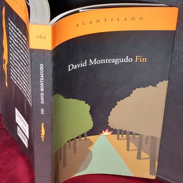 FIN, DAVID MONTEAGUDO.