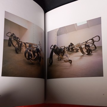 RICHARD DEACON, CAC MÁLAGA.