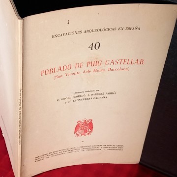 POBLADO DE PUIG CASTELLAR, SAN VICENTE DELS HORTS, EXCAVACIÓN ARQUEOLÓGICA.