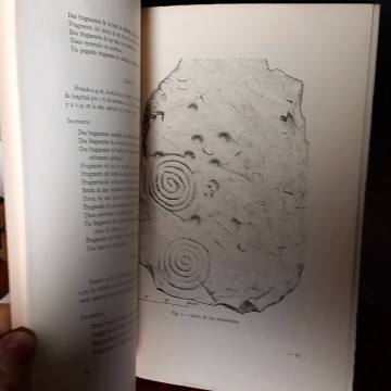 POBLADO DE PUIG CASTELLAR, SAN VICENTE DELS HORTS, EXCAVACIÓN ARQUEOLÓGICA.