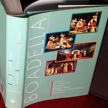 ALBERT BOADELLA 1 ELS JOGLARS