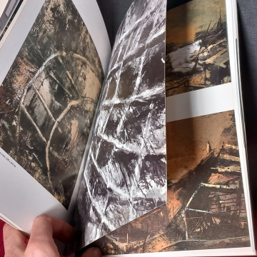 VICENÇ VIAPLANA, FERNANDO ALCOLEA GALERIA (EN CATALÀ)