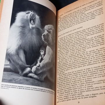 CALOR DE HOGAR, VITUS B. DROSCHER.