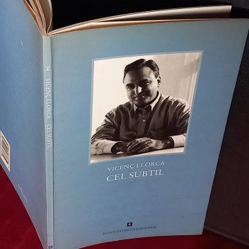 CEL SUBTIL, VICENÇ LLORCA.