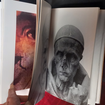 EL CARRO DE FENC, FRANCESC TORRES, (en català)